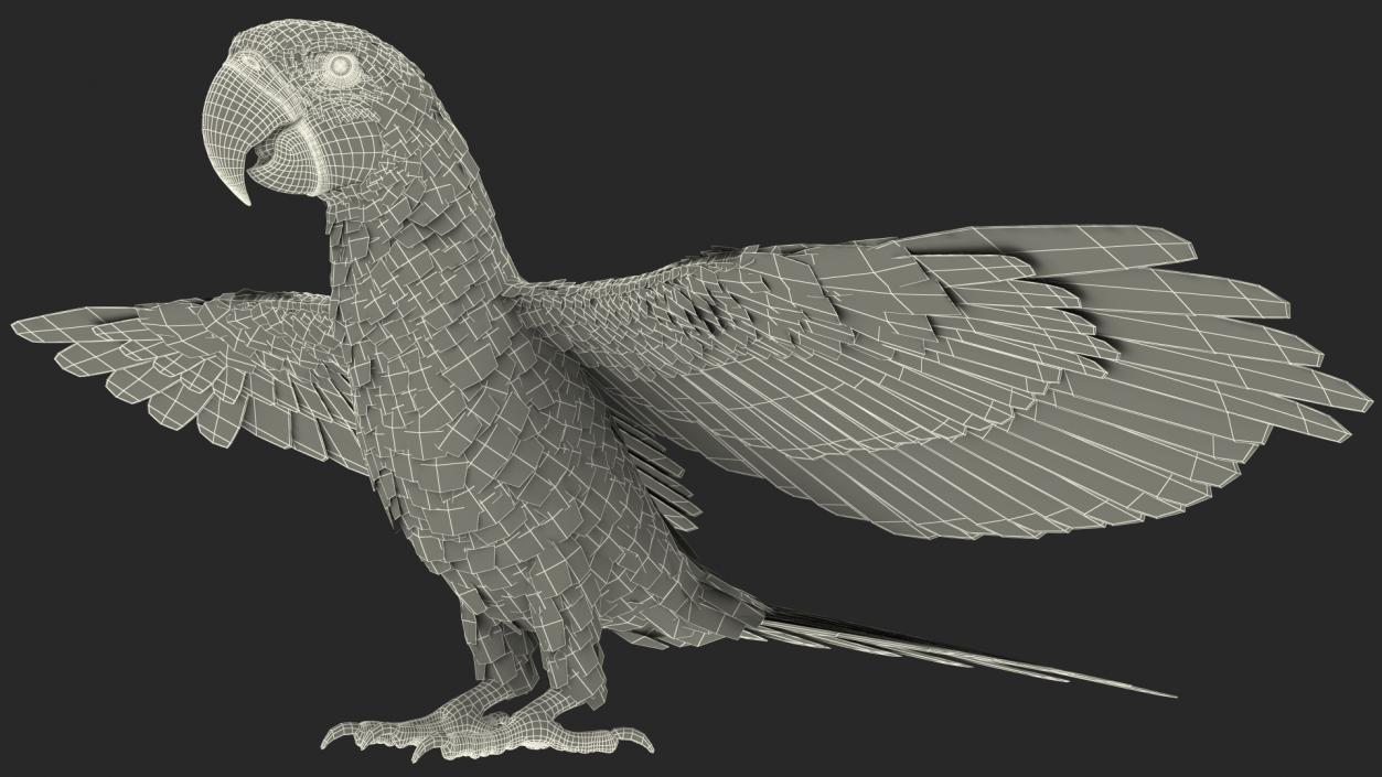 Red and Green Macaw Parrot Neutral Pose 3D model