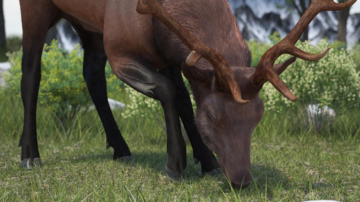 3D model Realistic Elk with Antlers Fur