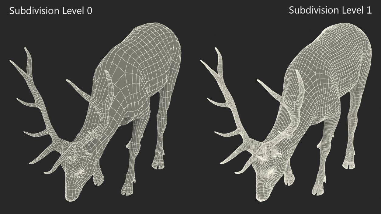 3D model Realistic Elk with Antlers Fur