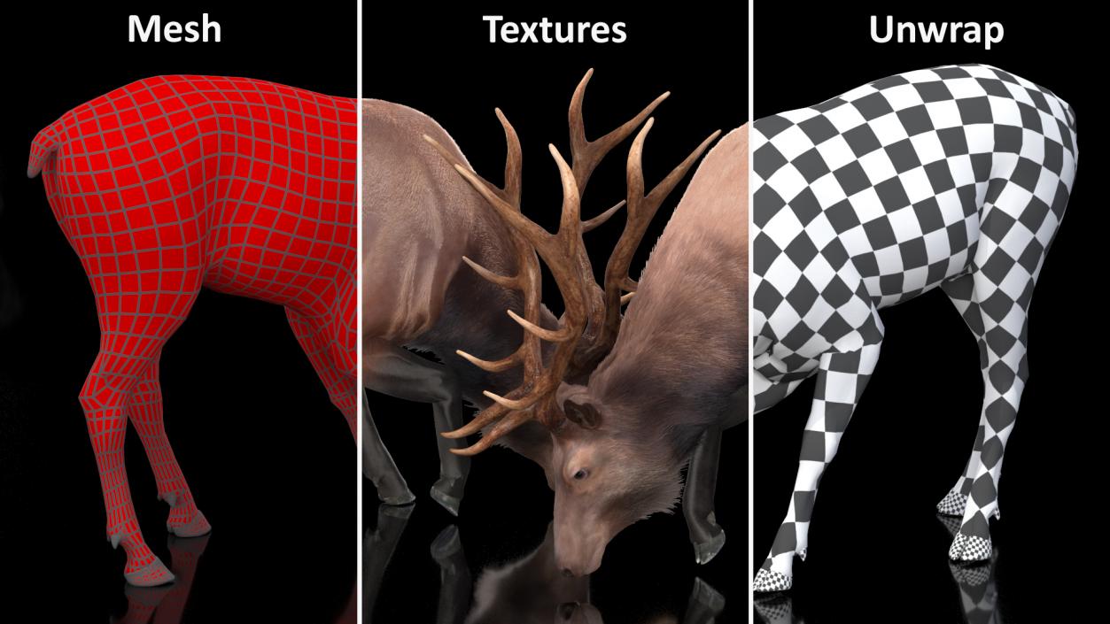 3D model Realistic Elk with Antlers Fur