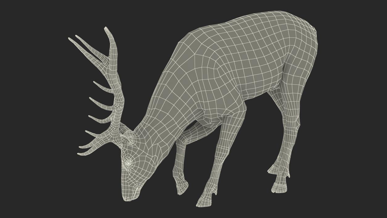 3D model Realistic Elk with Antlers Fur