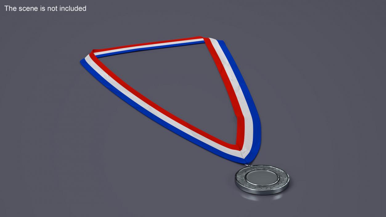 Silver Award Medal with Ribbon 2 3D