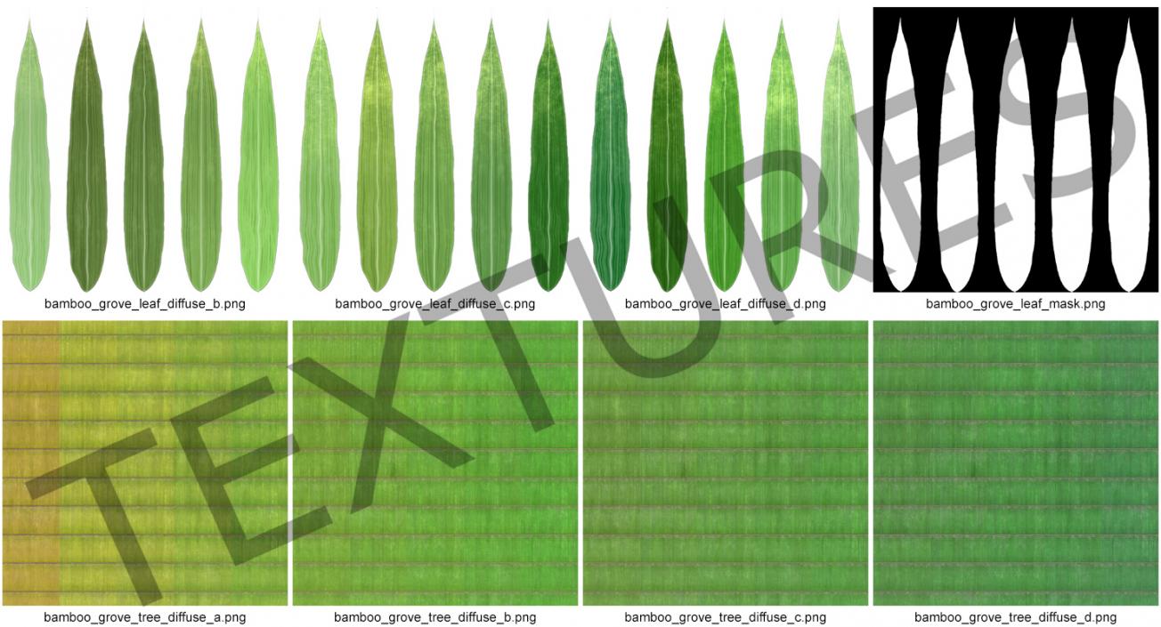 Bamboo Grove 3D