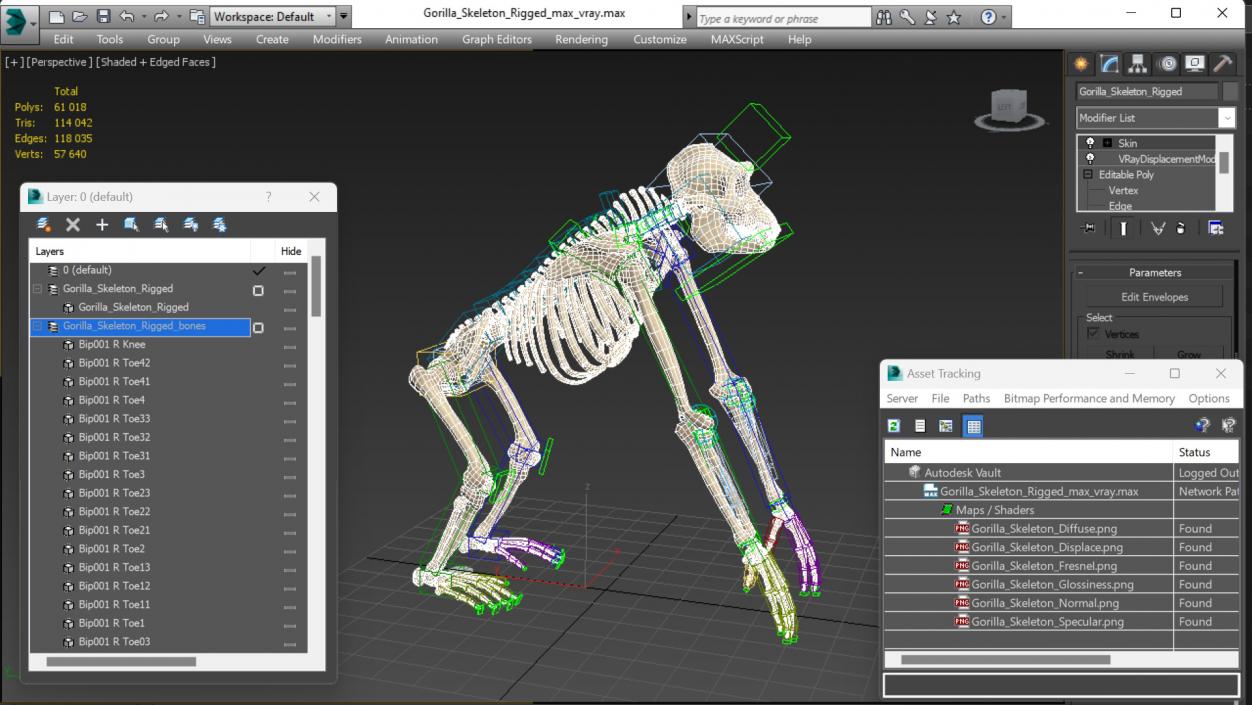 3D Gorilla Skeleton Rigged model