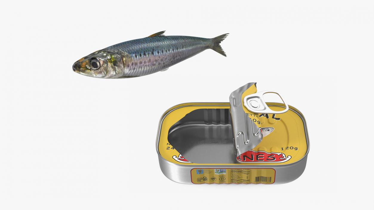 Sardine Fish with Open Can Collection 3D