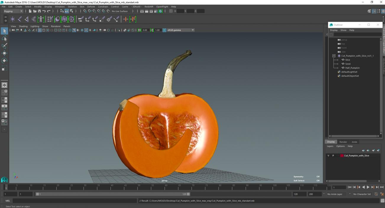 Cut Pumpkin with Slice 3D