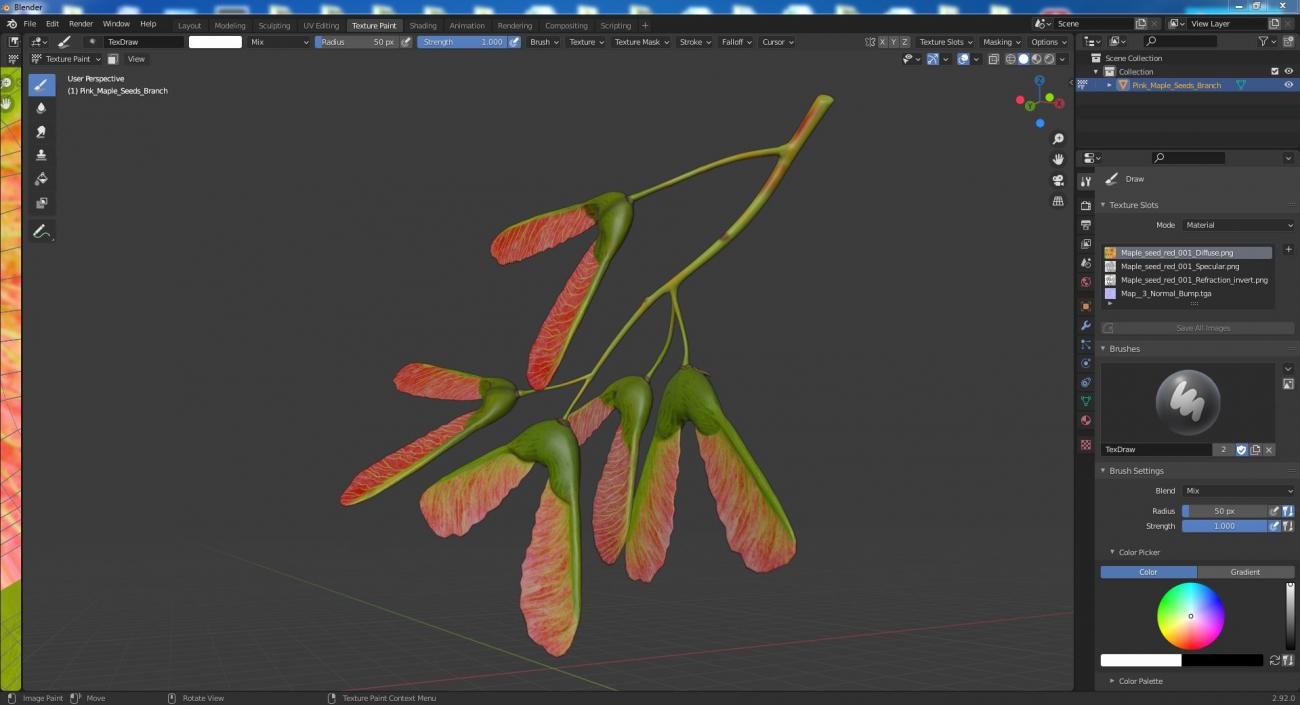 3D Pink Maple Seeds Branch model