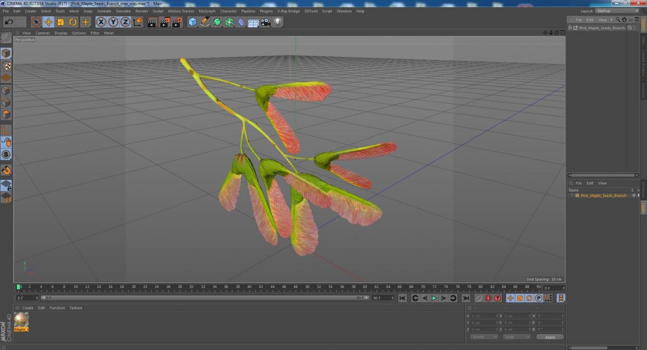 3D Pink Maple Seeds Branch model