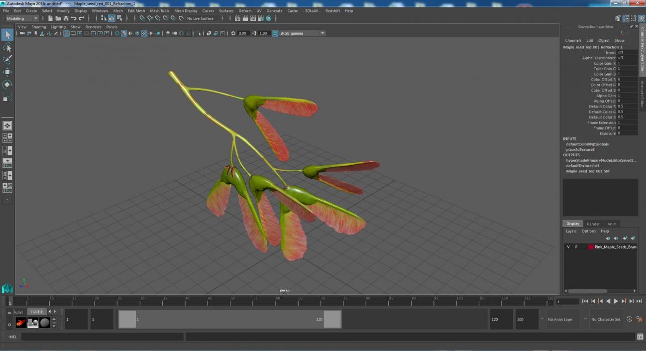 3D Pink Maple Seeds Branch model