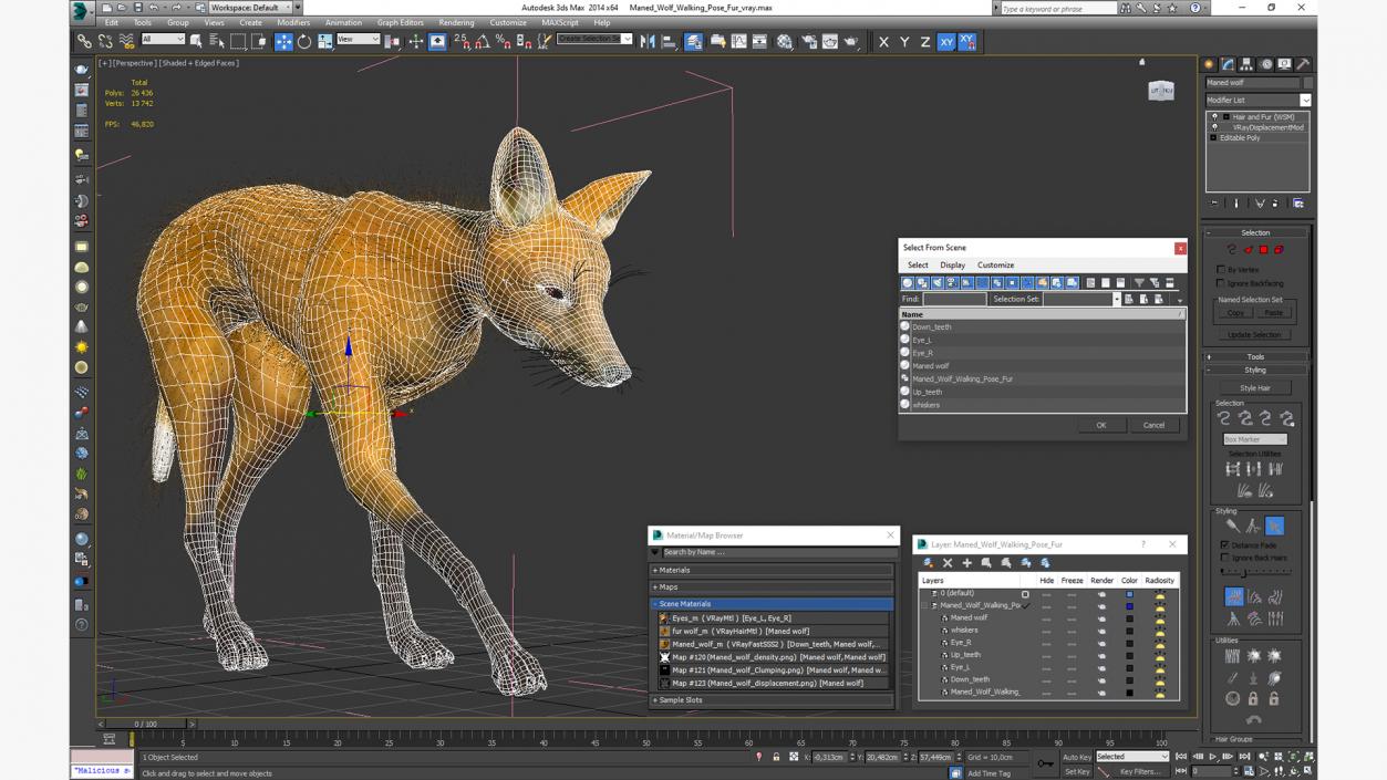 Maned Wolf Walking Pose Fur 3D