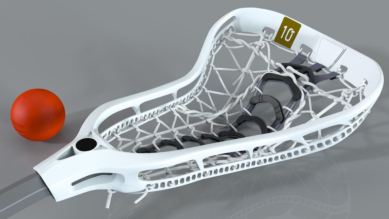 Lacrosse Stick Generic with Ball 3D