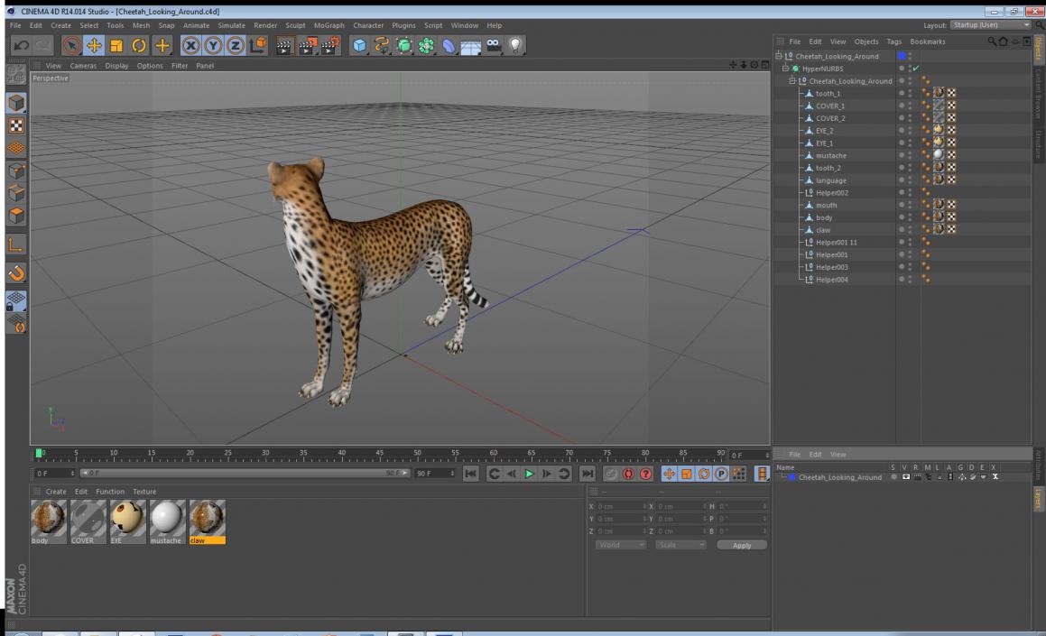 Cheetah Looking Around 3D