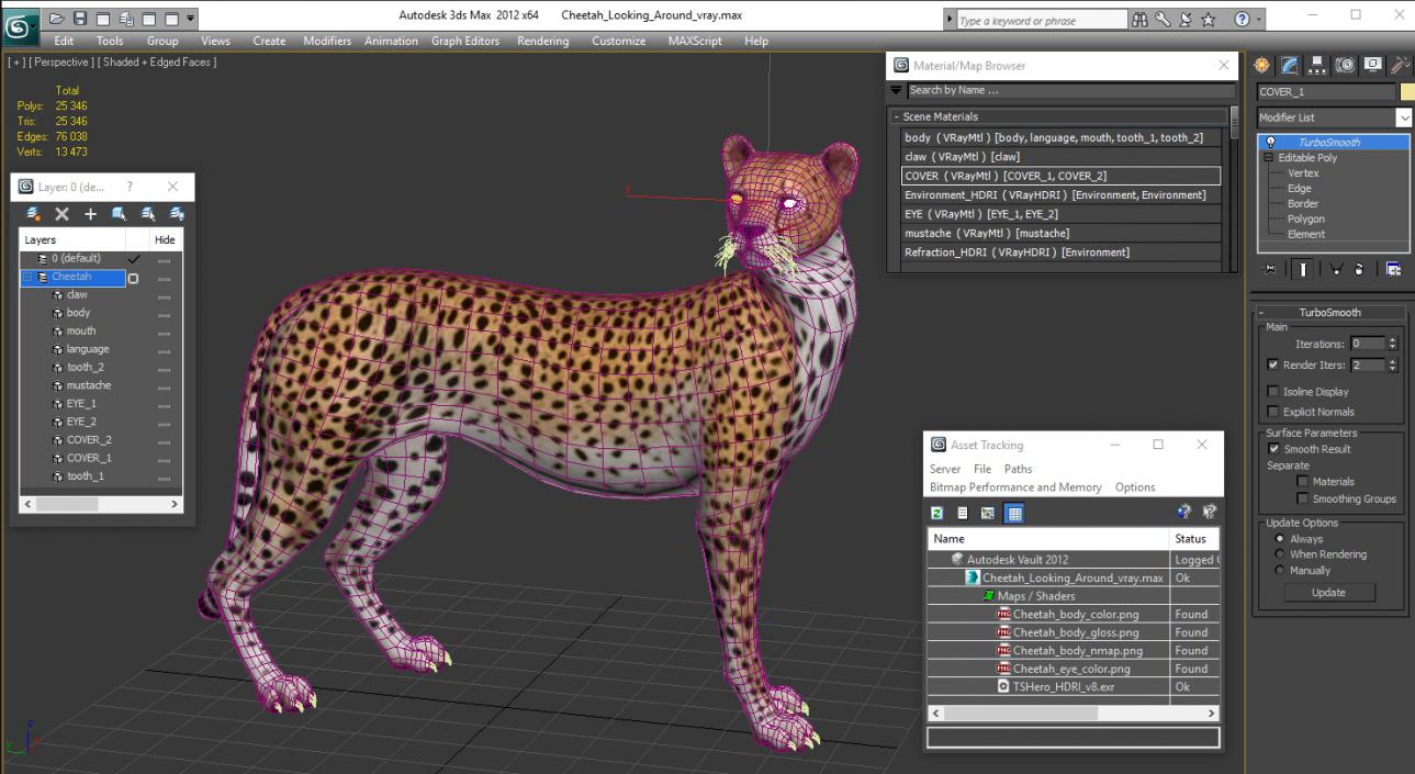 Cheetah Looking Around 3D