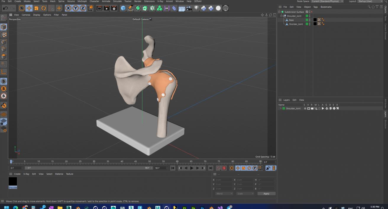 Shoulder Joint 3D model