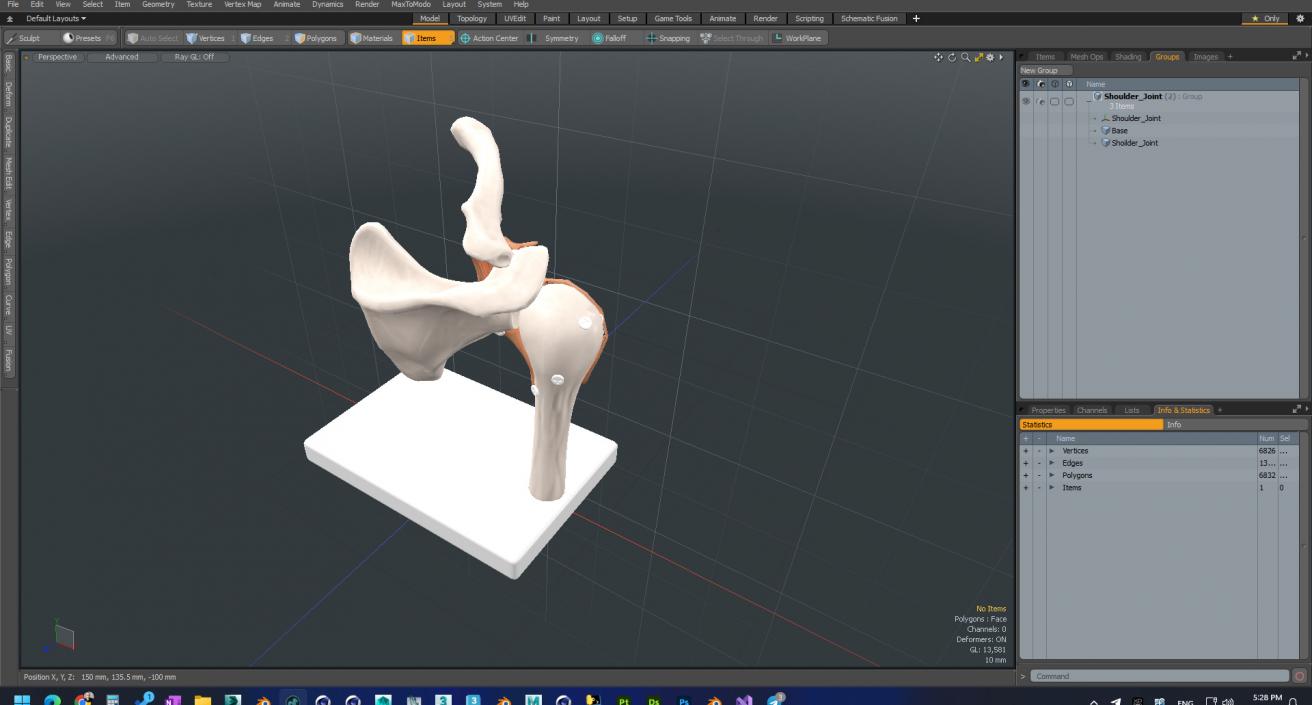 Shoulder Joint 3D model