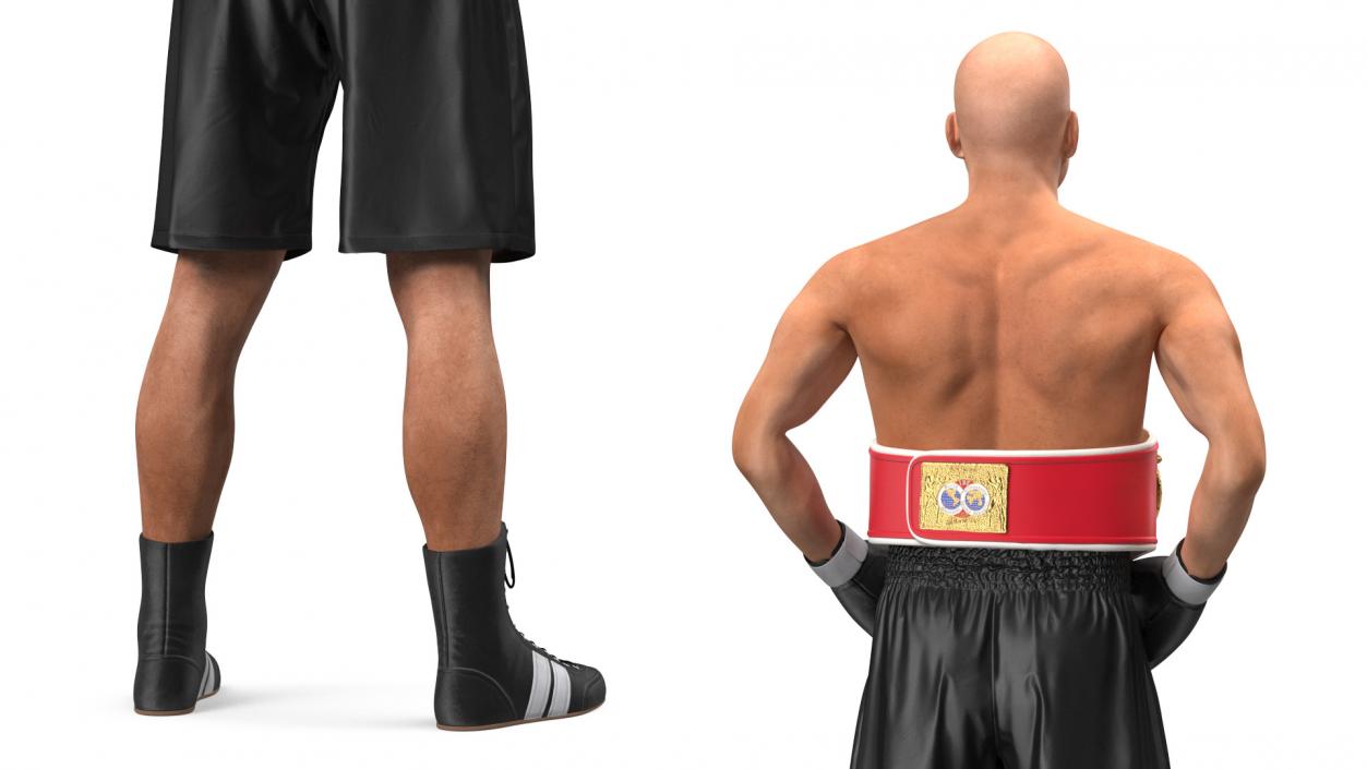 IBF Boxing Champion 3D model