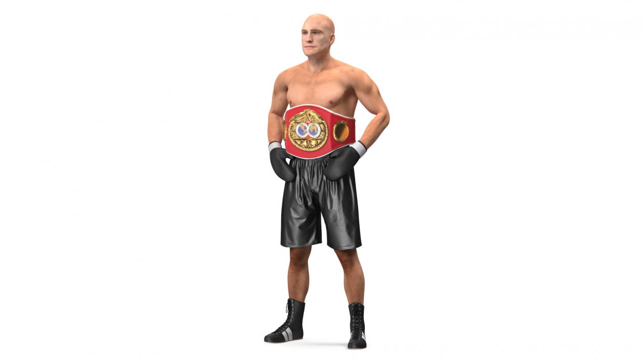 IBF Boxing Champion 3D model