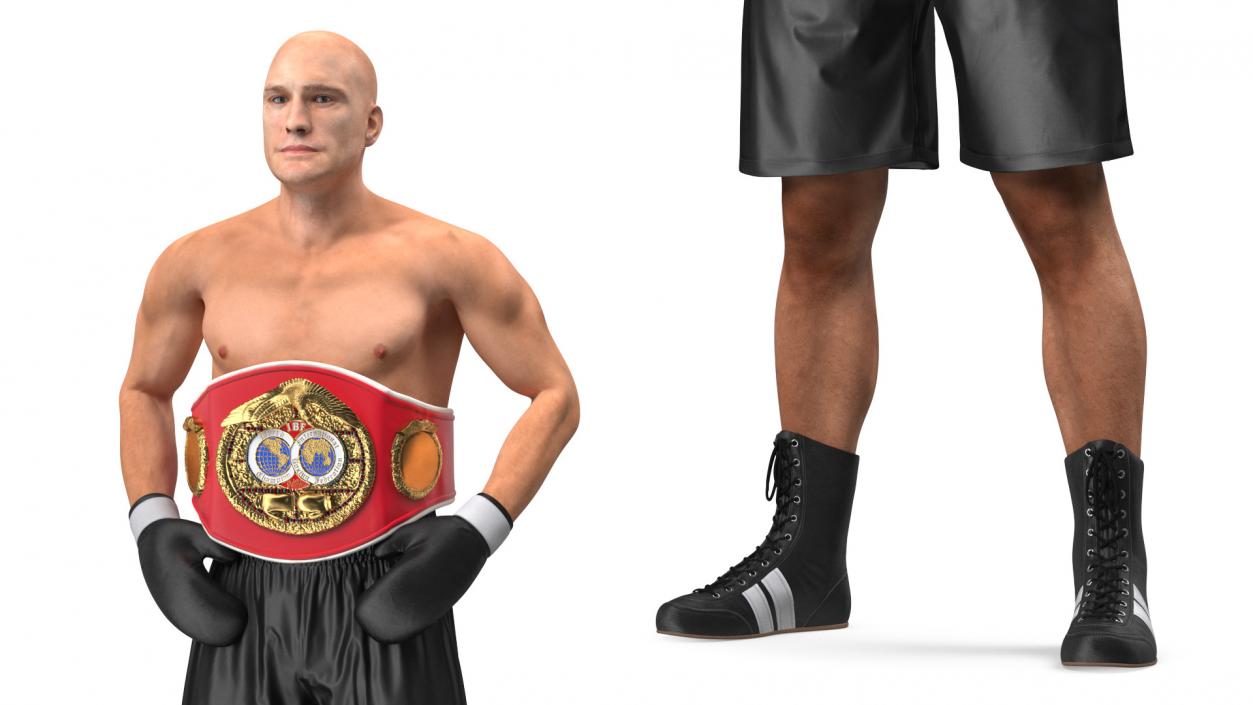 IBF Boxing Champion 3D model