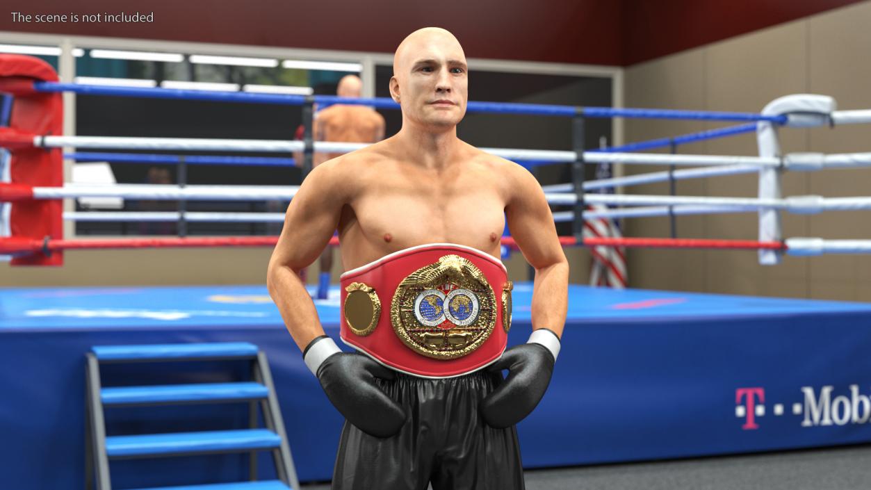 IBF Boxing Champion 3D model