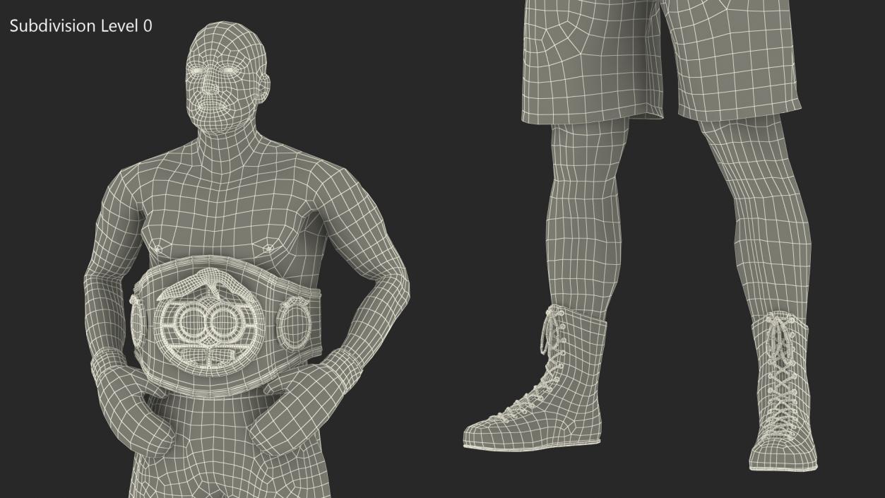 IBF Boxing Champion 3D model