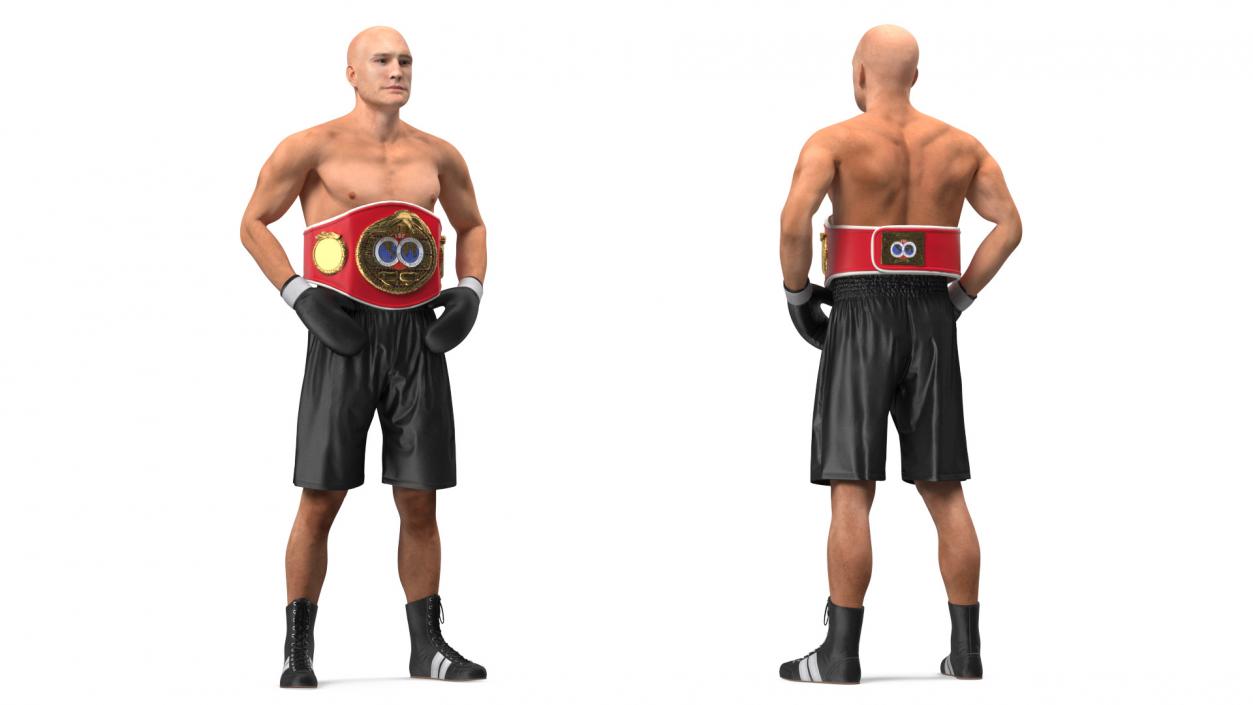 IBF Boxing Champion 3D model