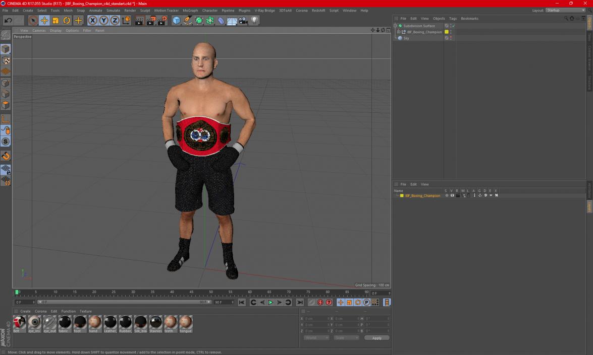 IBF Boxing Champion 3D model