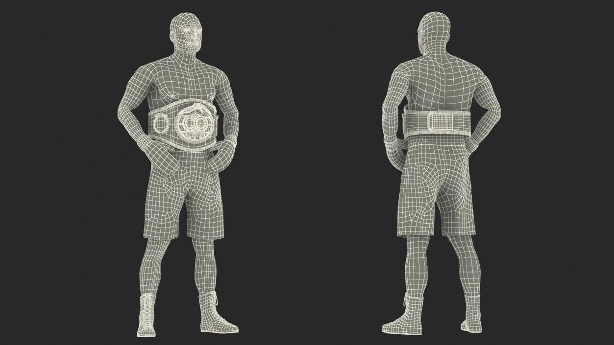 IBF Boxing Champion 3D model