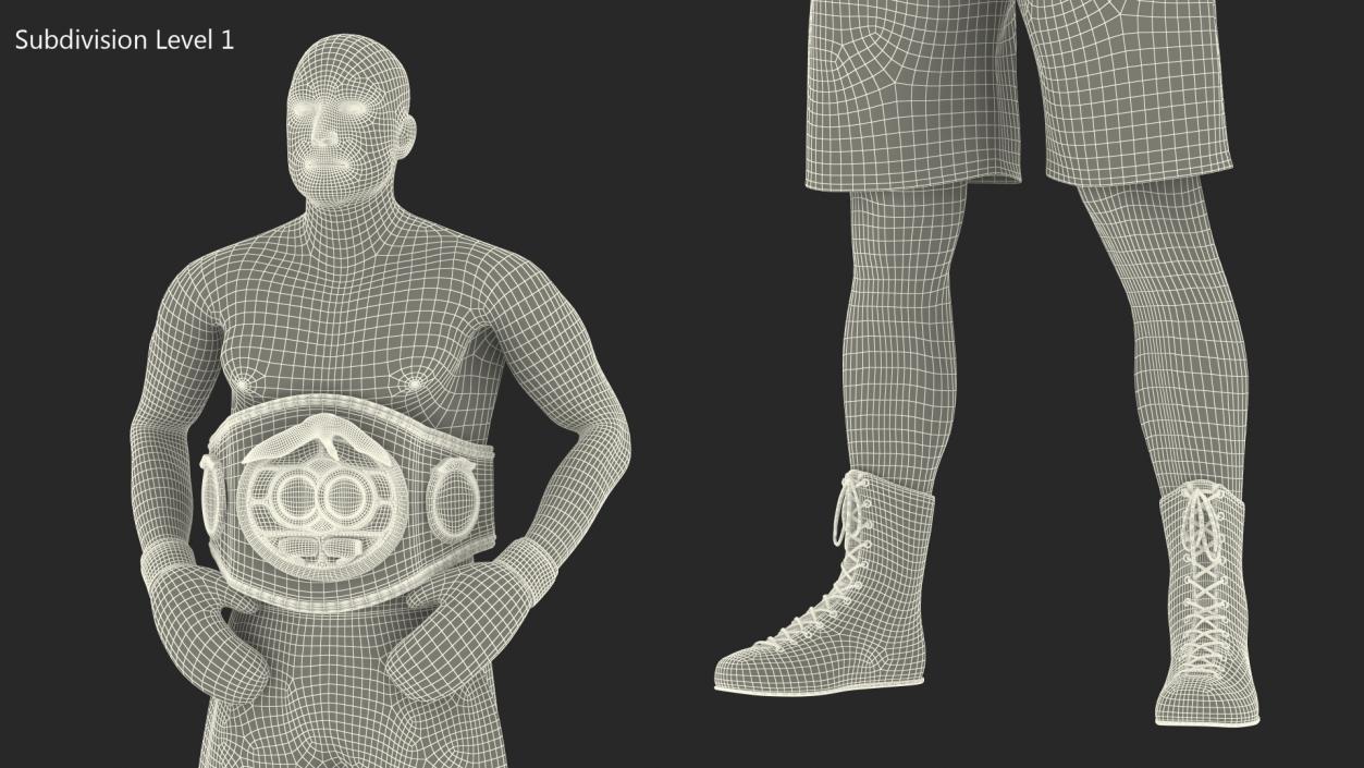 IBF Boxing Champion 3D model