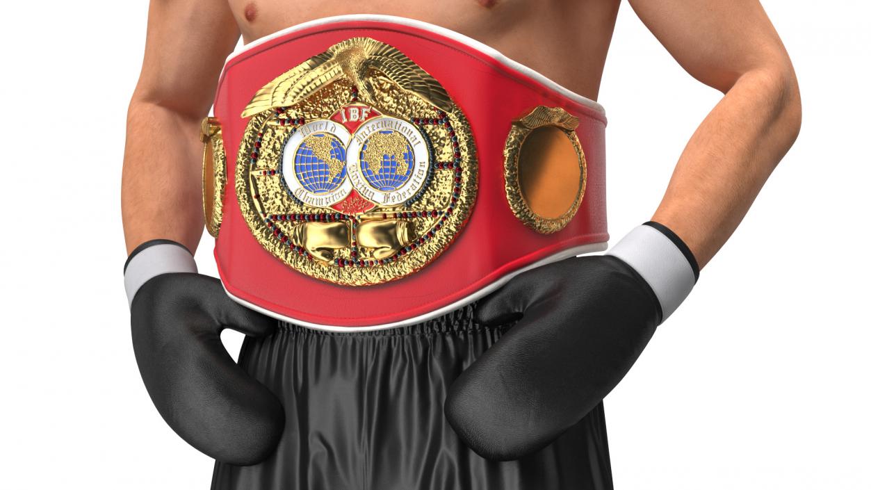 IBF Boxing Champion 3D model