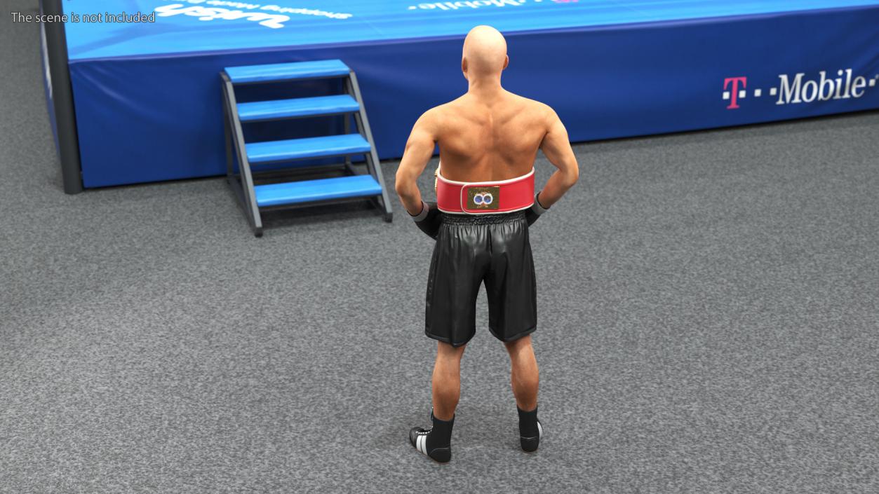 IBF Boxing Champion 3D model