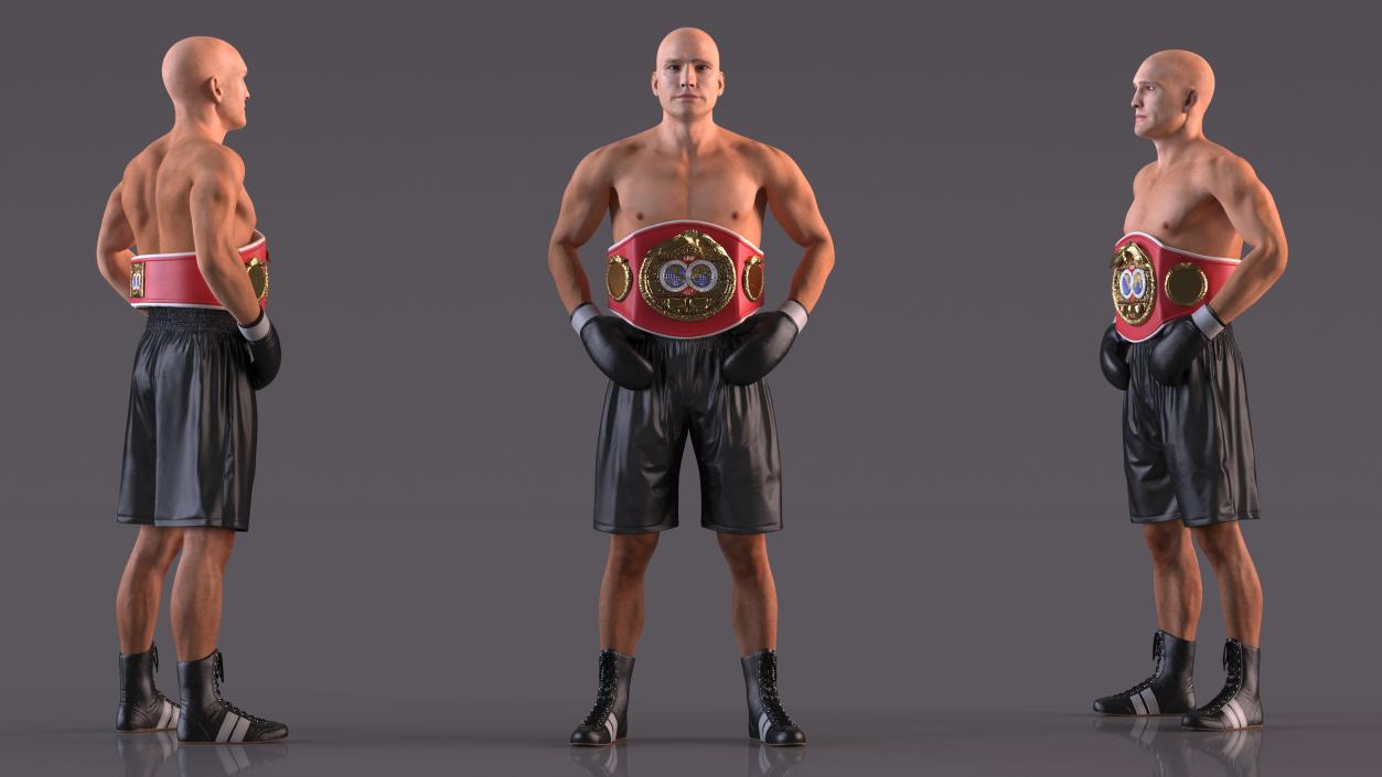 IBF Boxing Champion 3D model