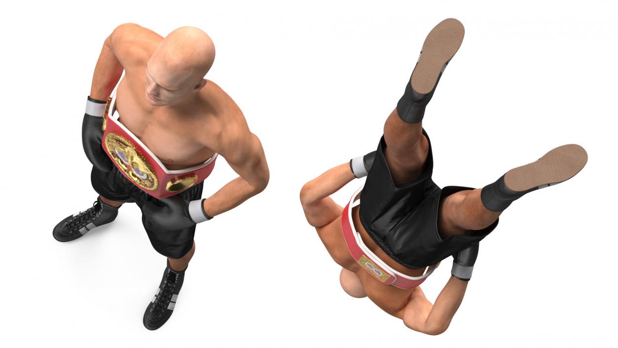 IBF Boxing Champion 3D model