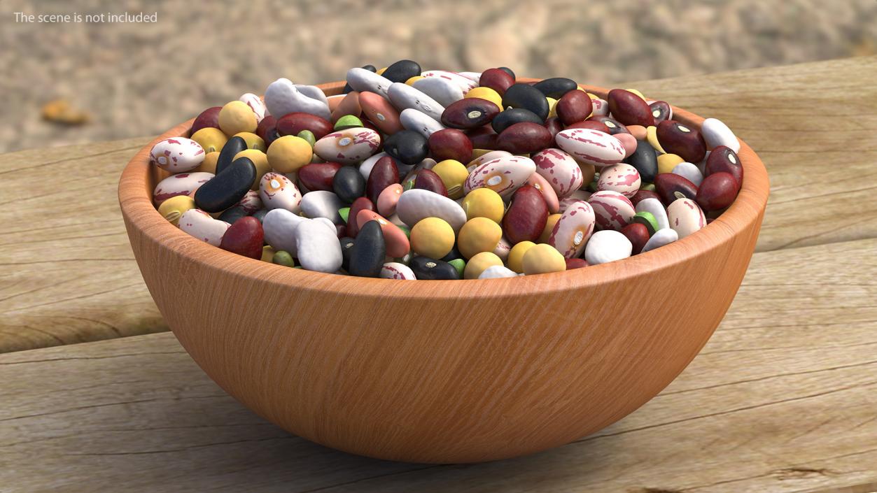 Mixed Legume Beans on a Plate 3D model