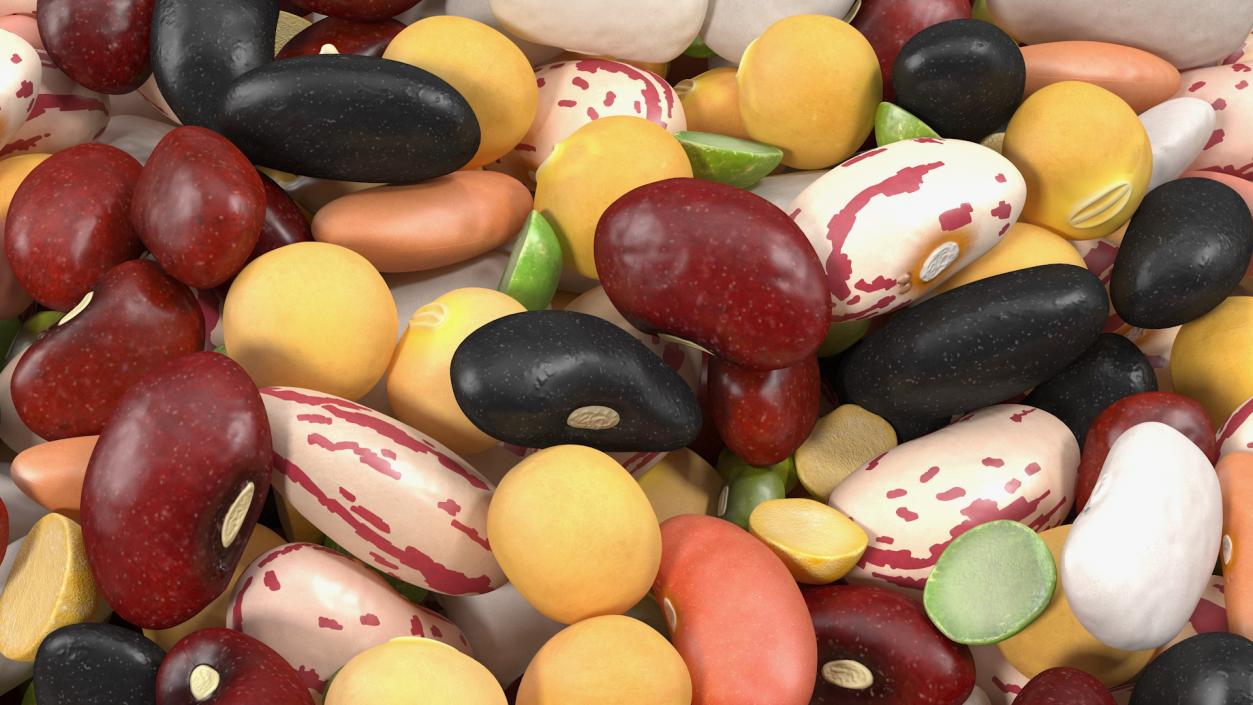 Mixed Legume Beans on a Plate 3D model