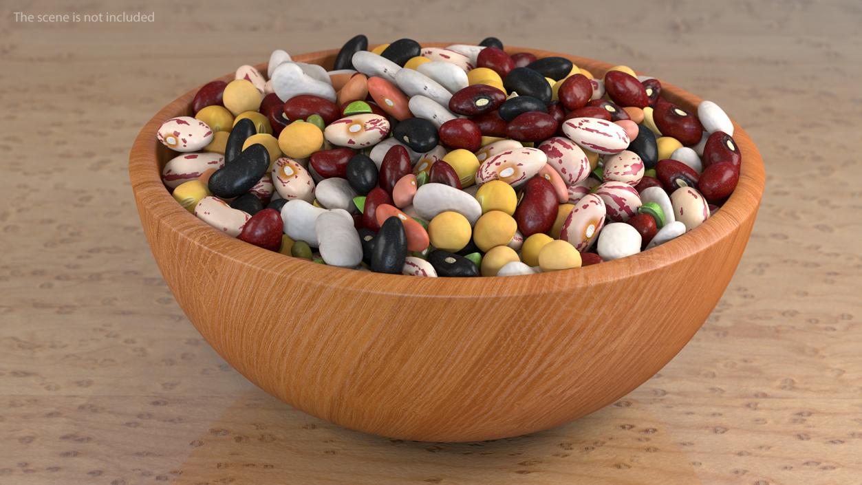 Mixed Legume Beans on a Plate 3D model