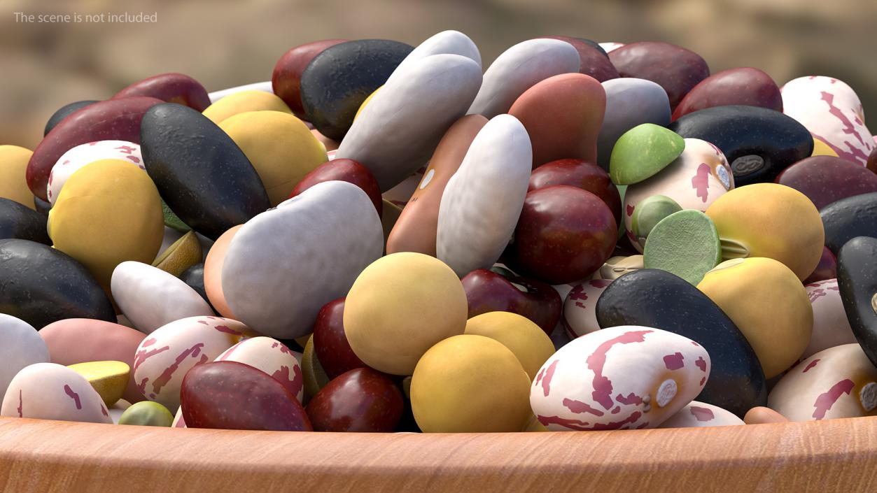 Mixed Legume Beans on a Plate 3D model