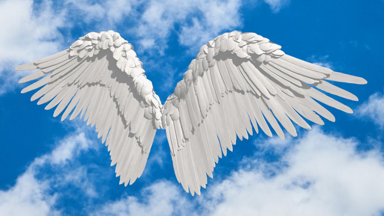 Angel Wings White 3D