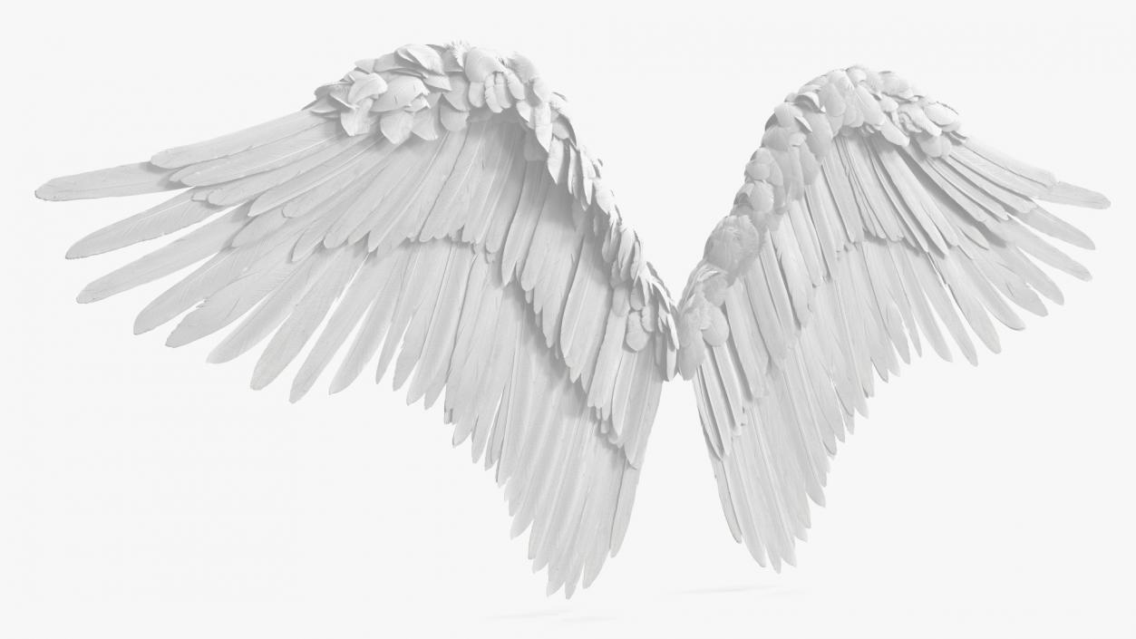 Angel Wings White 3D