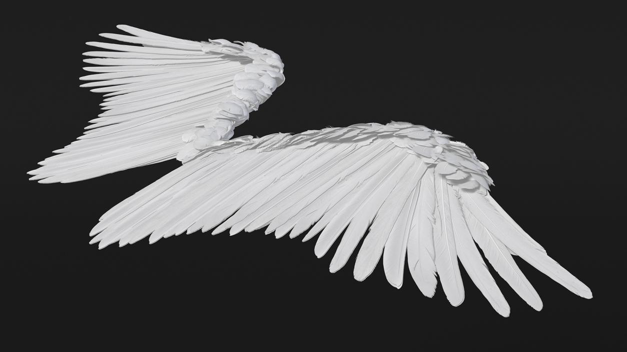 Angel Wings White 3D