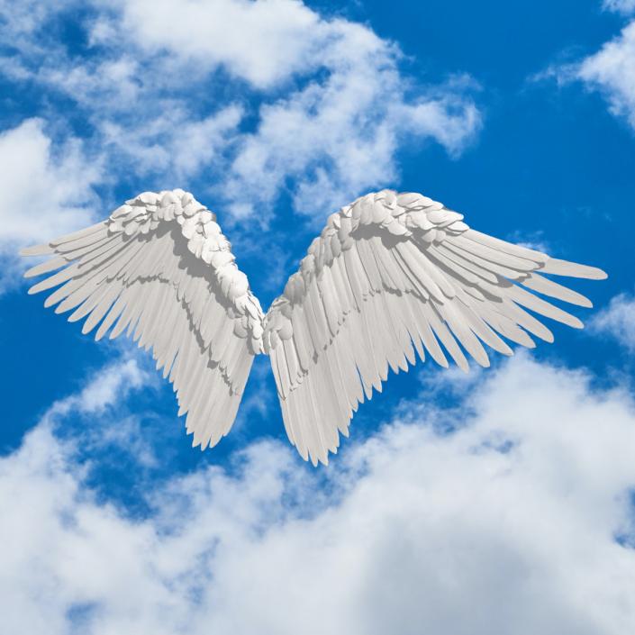 Angel Wings White 3D