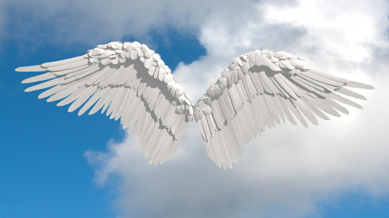 Angel Wings White 3D