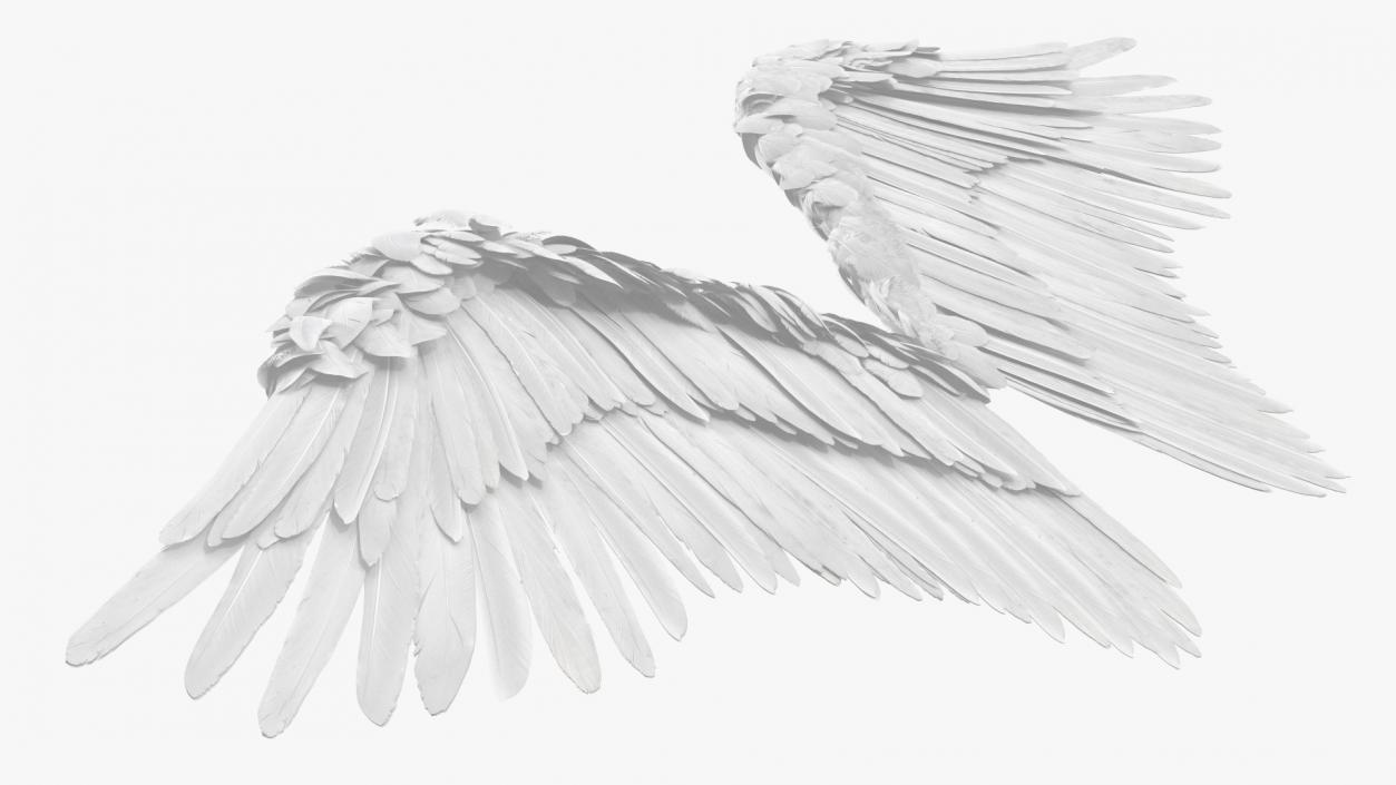 Angel Wings White 3D