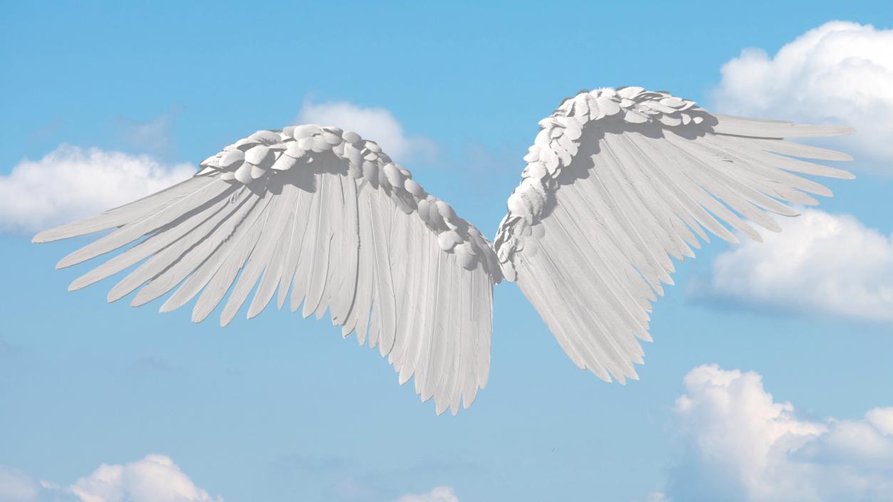 Angel Wings White 3D