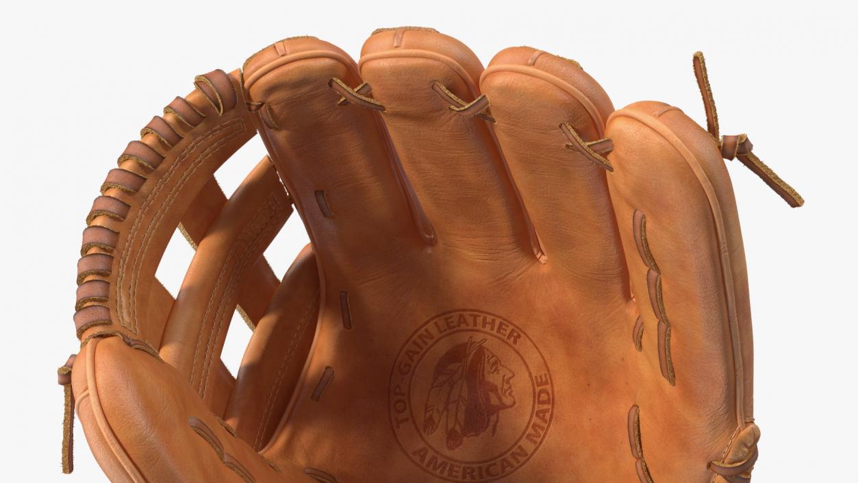 3D Outfield Pitcher Baseball Glove Shinola Fur model