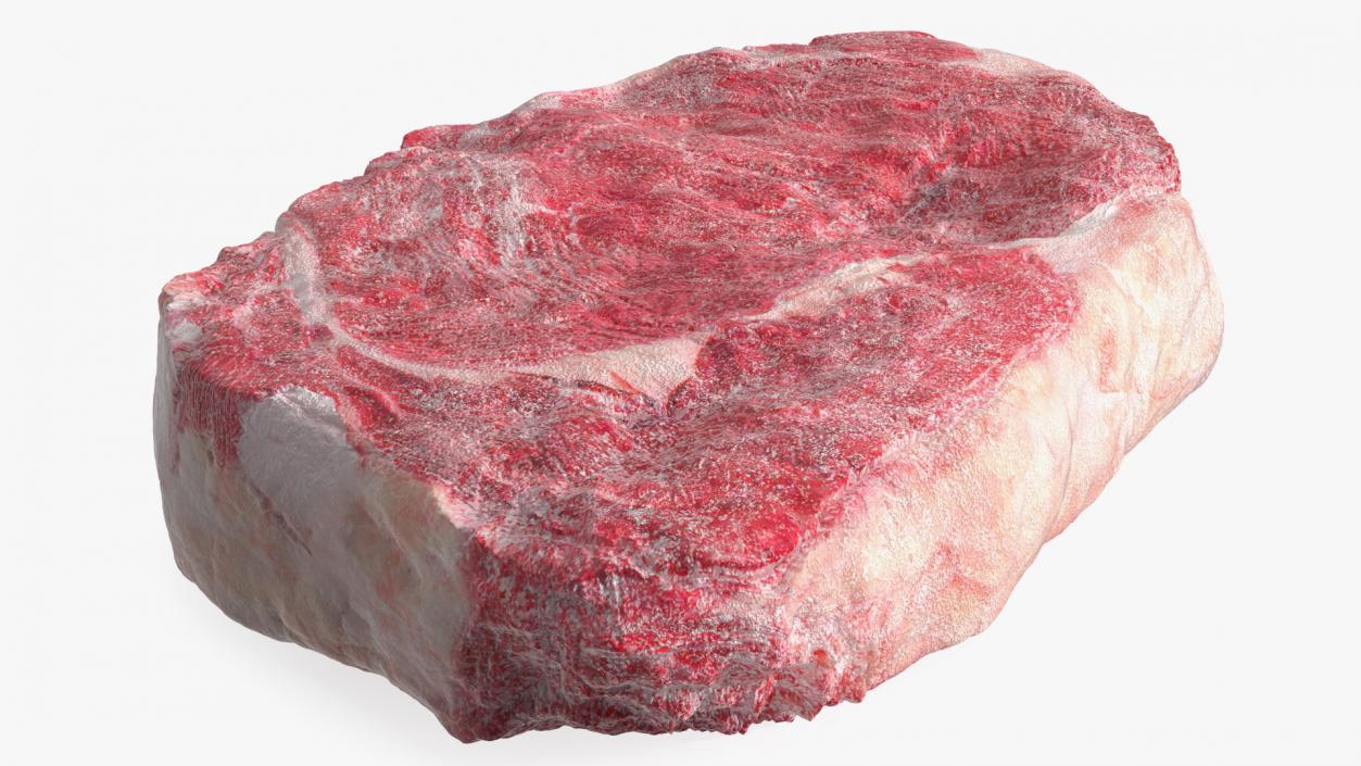 Meat Slice Frozen 3D