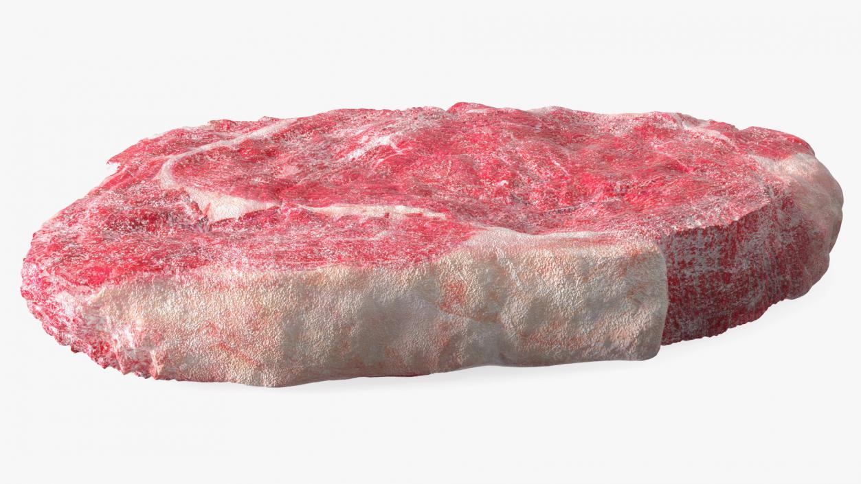 Meat Slice Frozen 3D