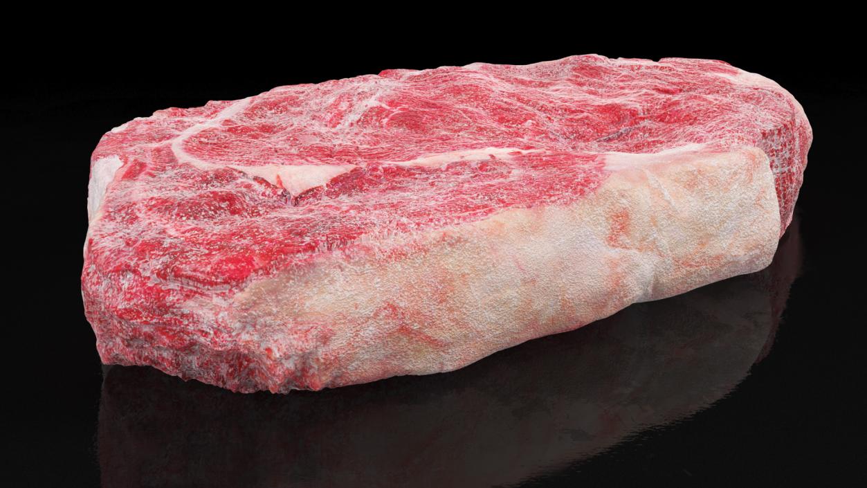 Meat Slice Frozen 3D