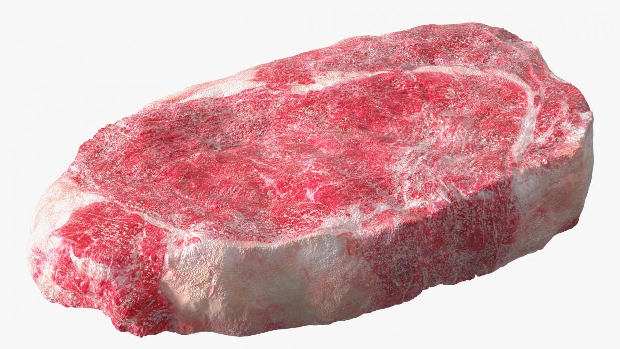 Meat Slice Frozen 3D