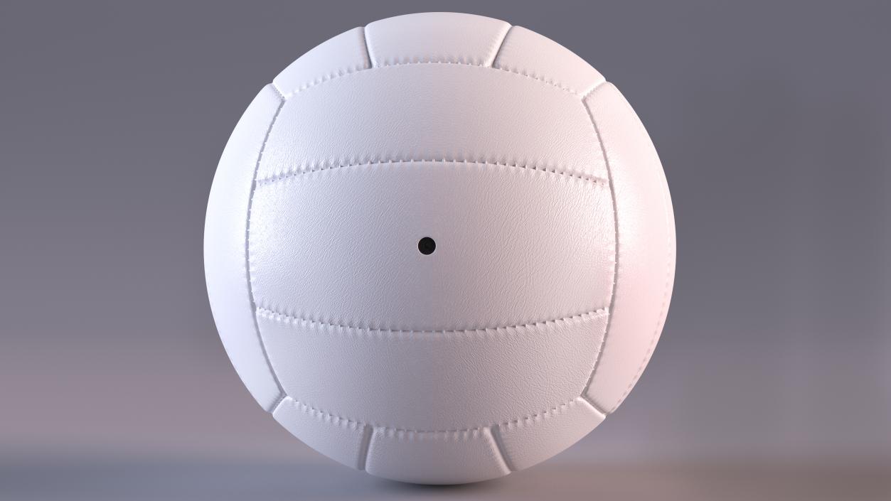 Leather Volleyball Ball White 3D model