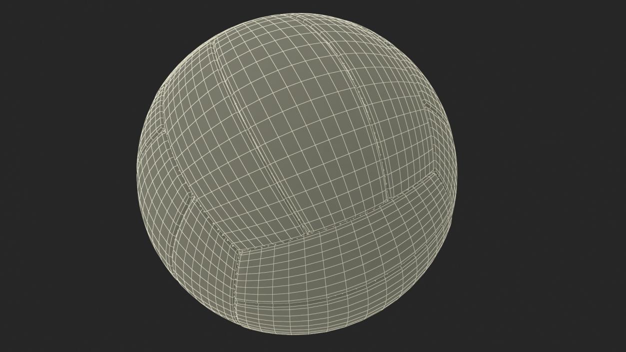 Leather Volleyball Ball White 3D model